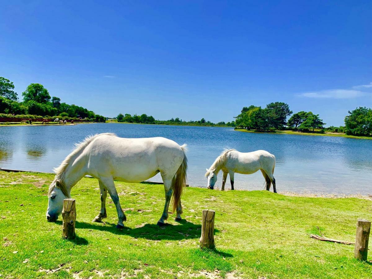 Forest & Beach Access Naish Park Apartment นิวมิลตัน ภายนอก รูปภาพ